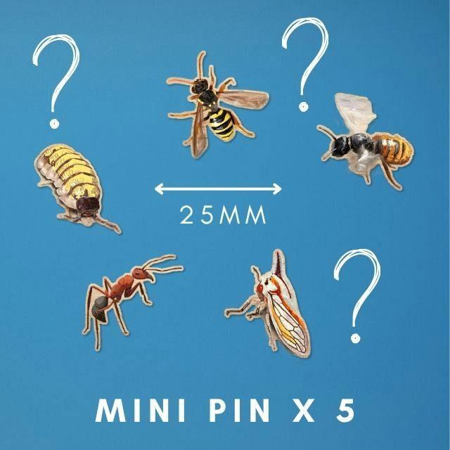 5 Wooden Mini Pins