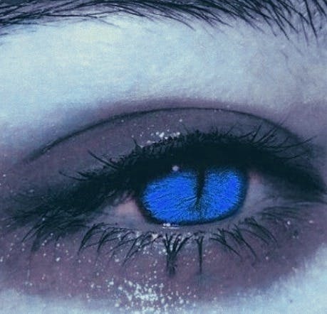 user avatar image for William