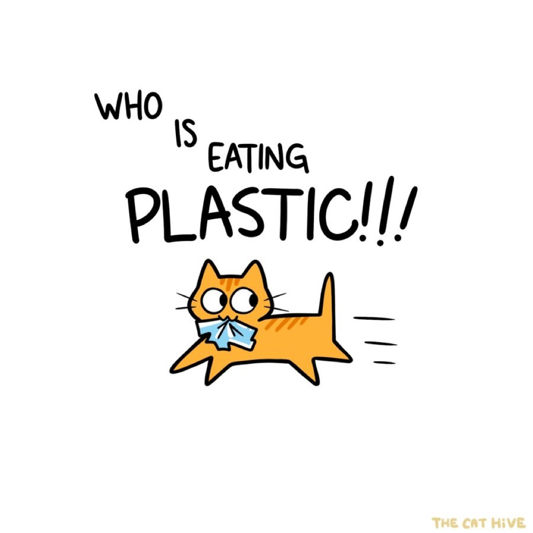 user avatar image for Samantha M.