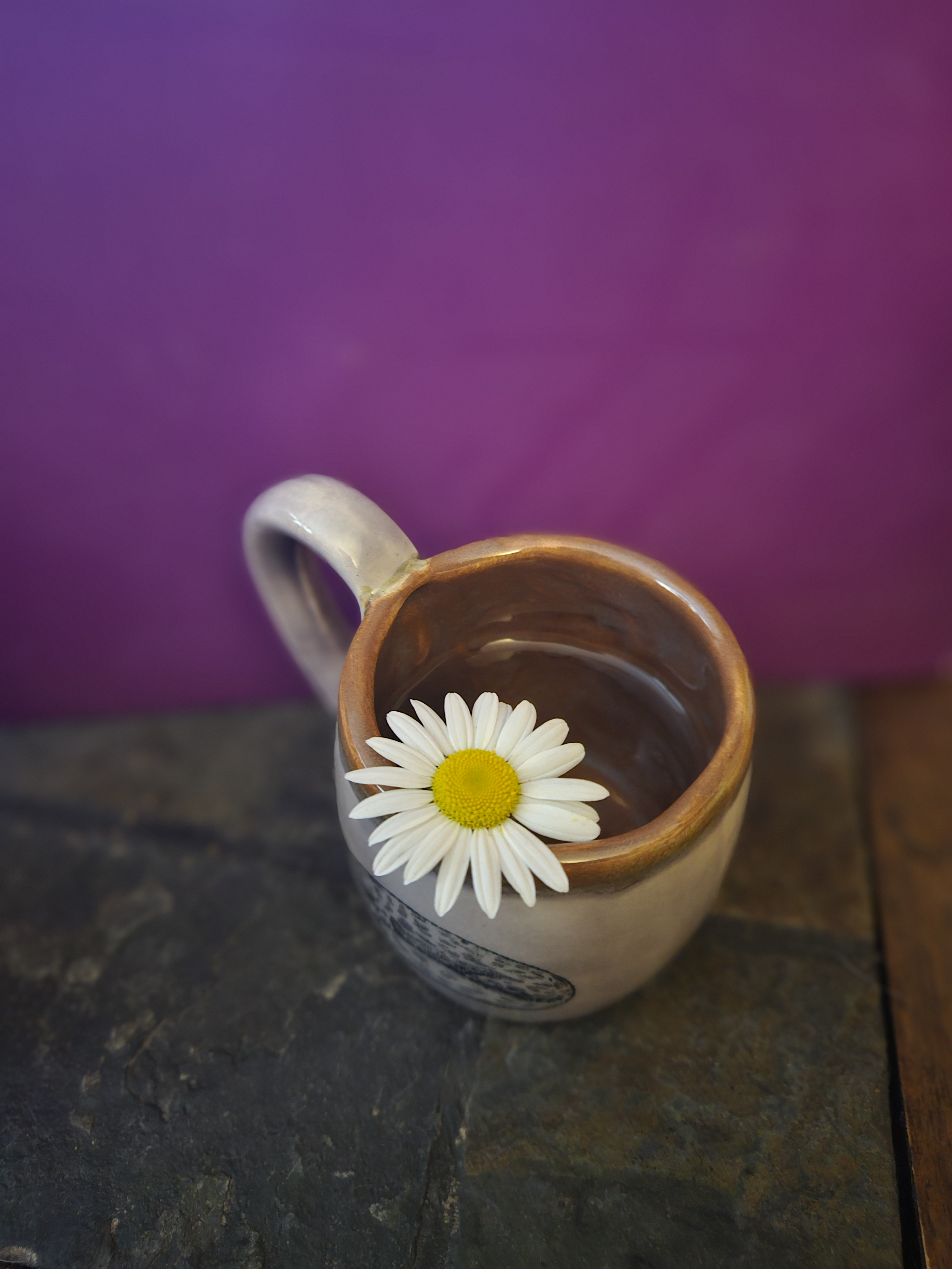 user avatar image for Rachel Sullivan