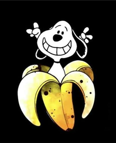 user avatar image for HC