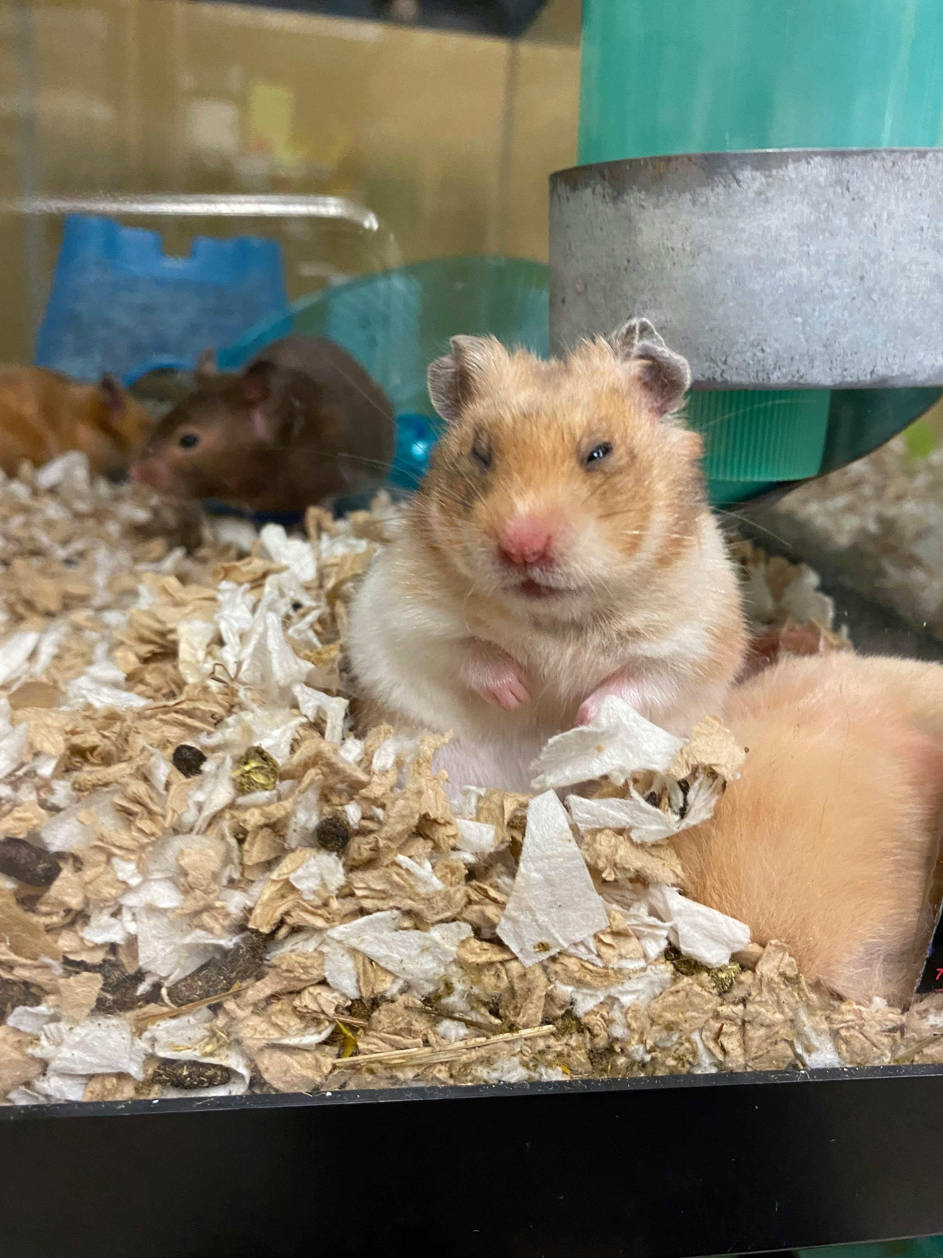 user avatar image for Chey