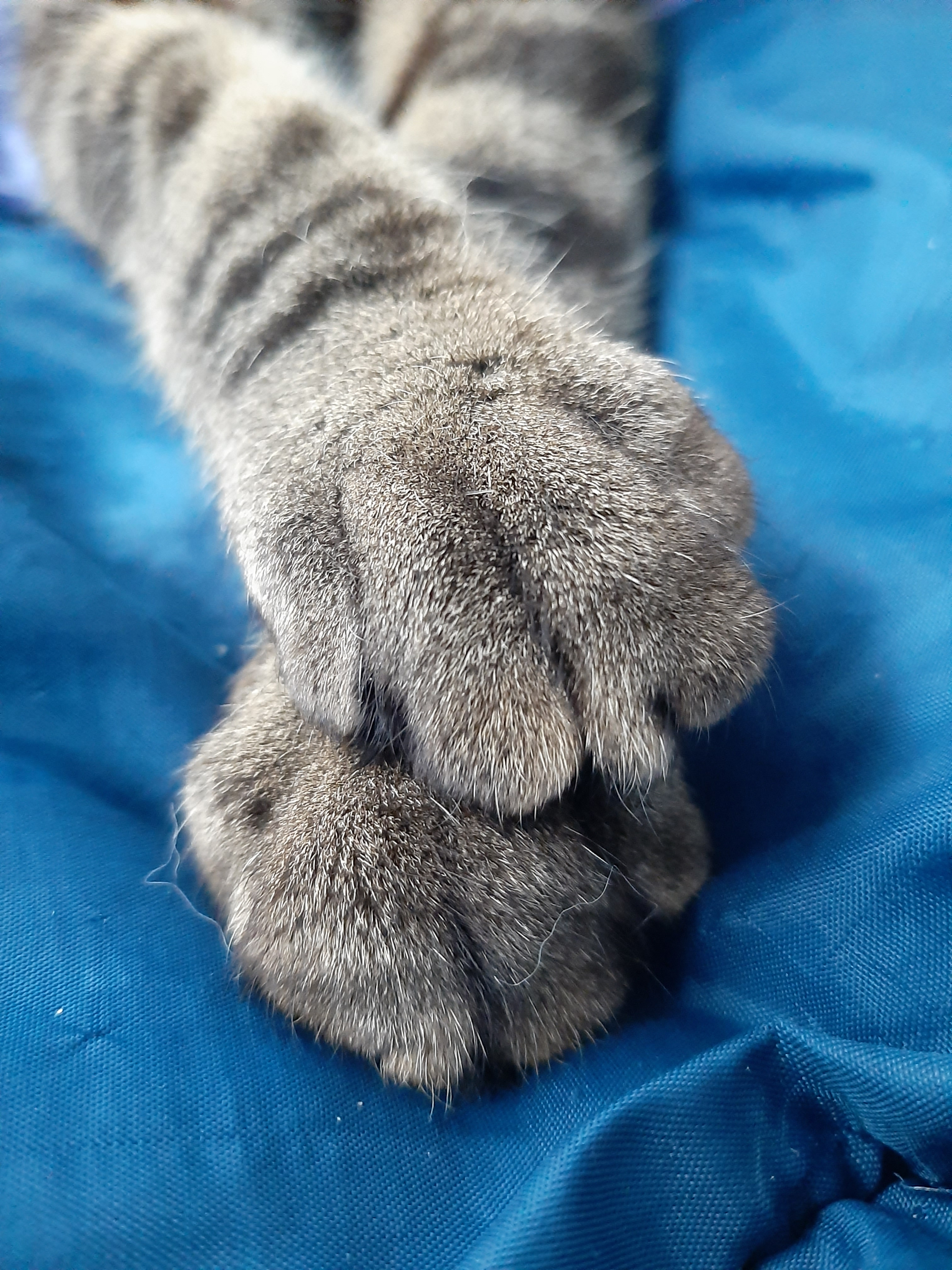 user avatar image for Sunny