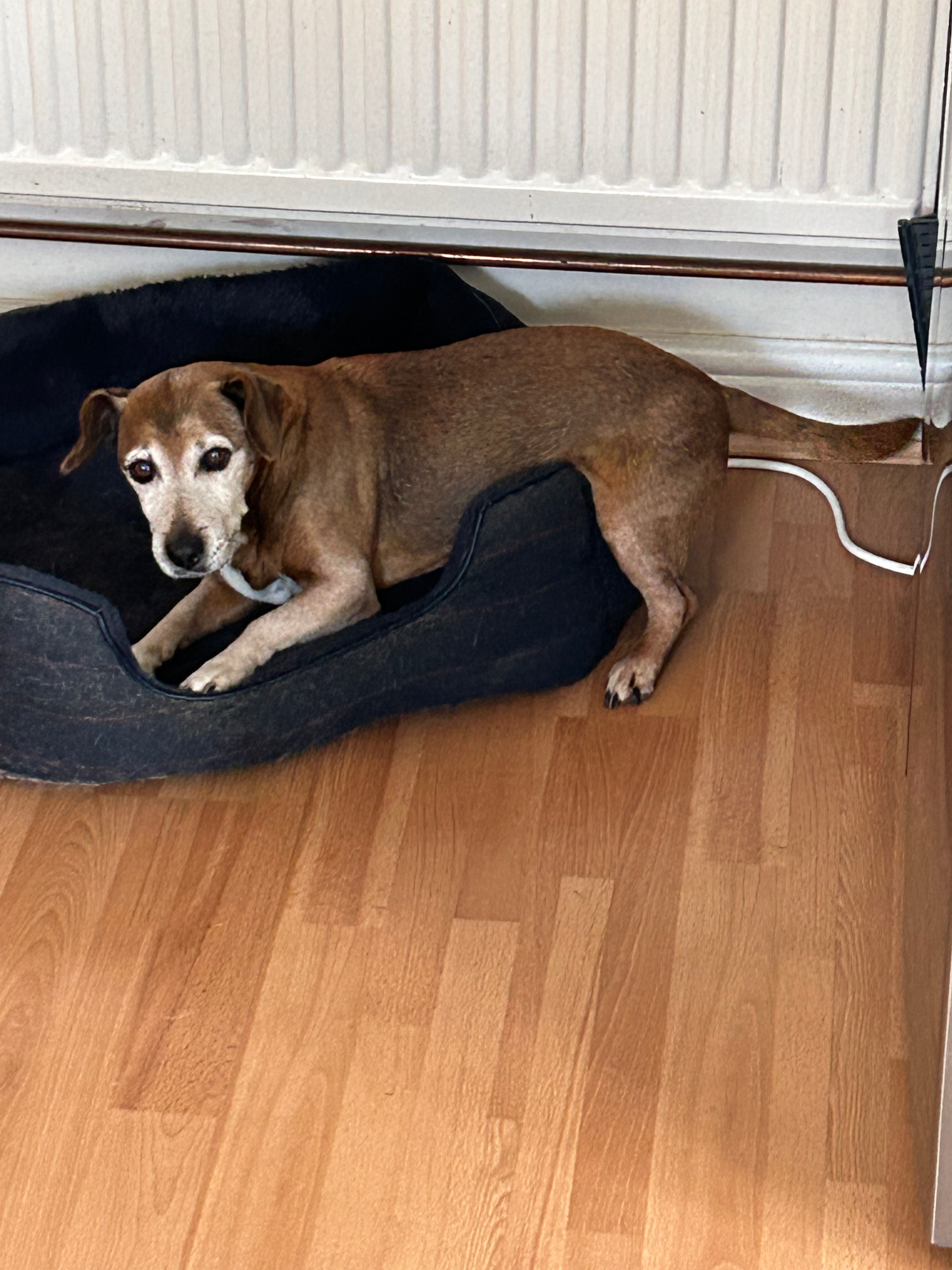 user avatar image for Jake Stapleton