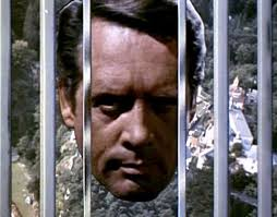 user avatar image for MCAR10191