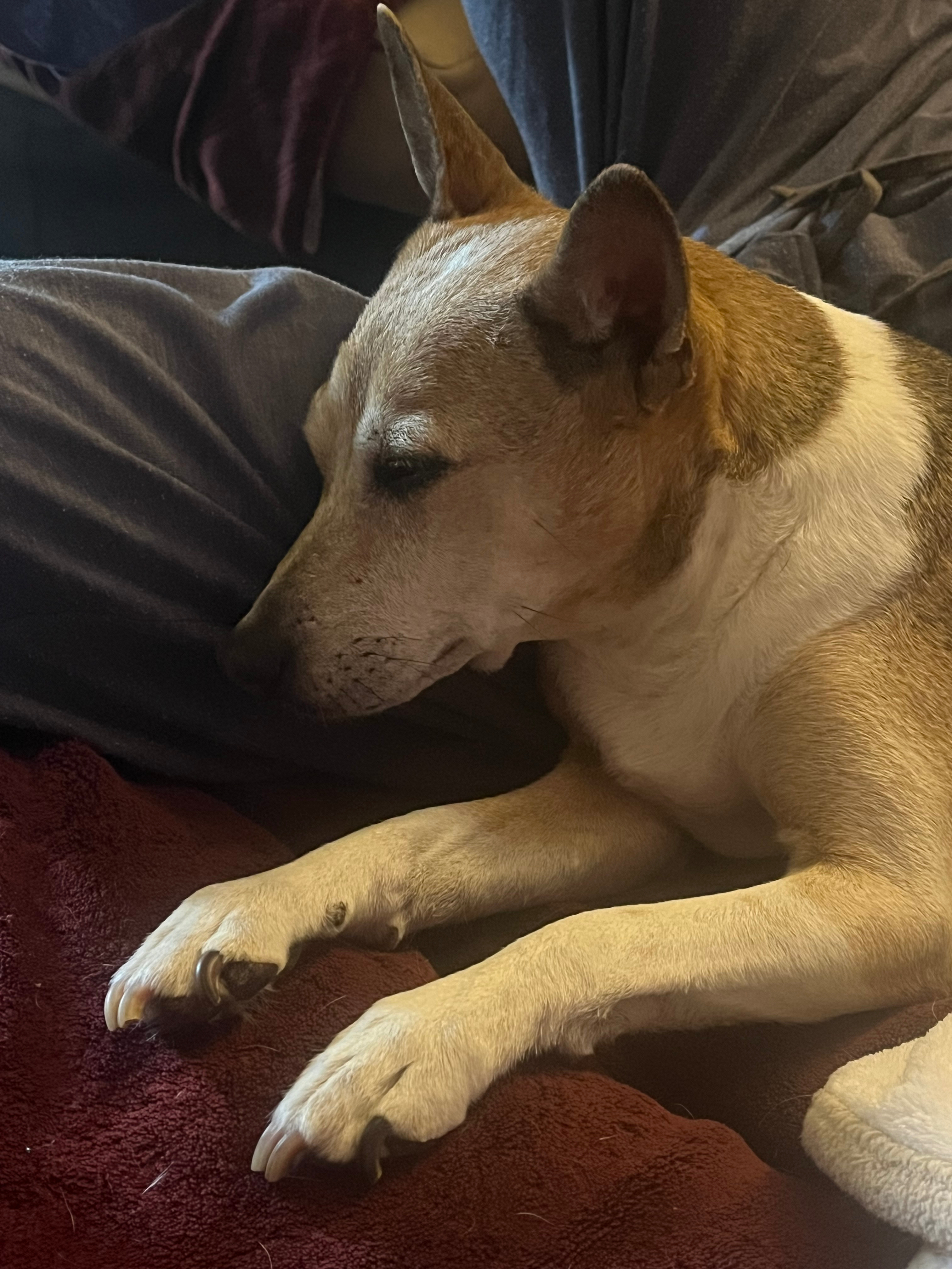 user avatar image for Crystal Nichols