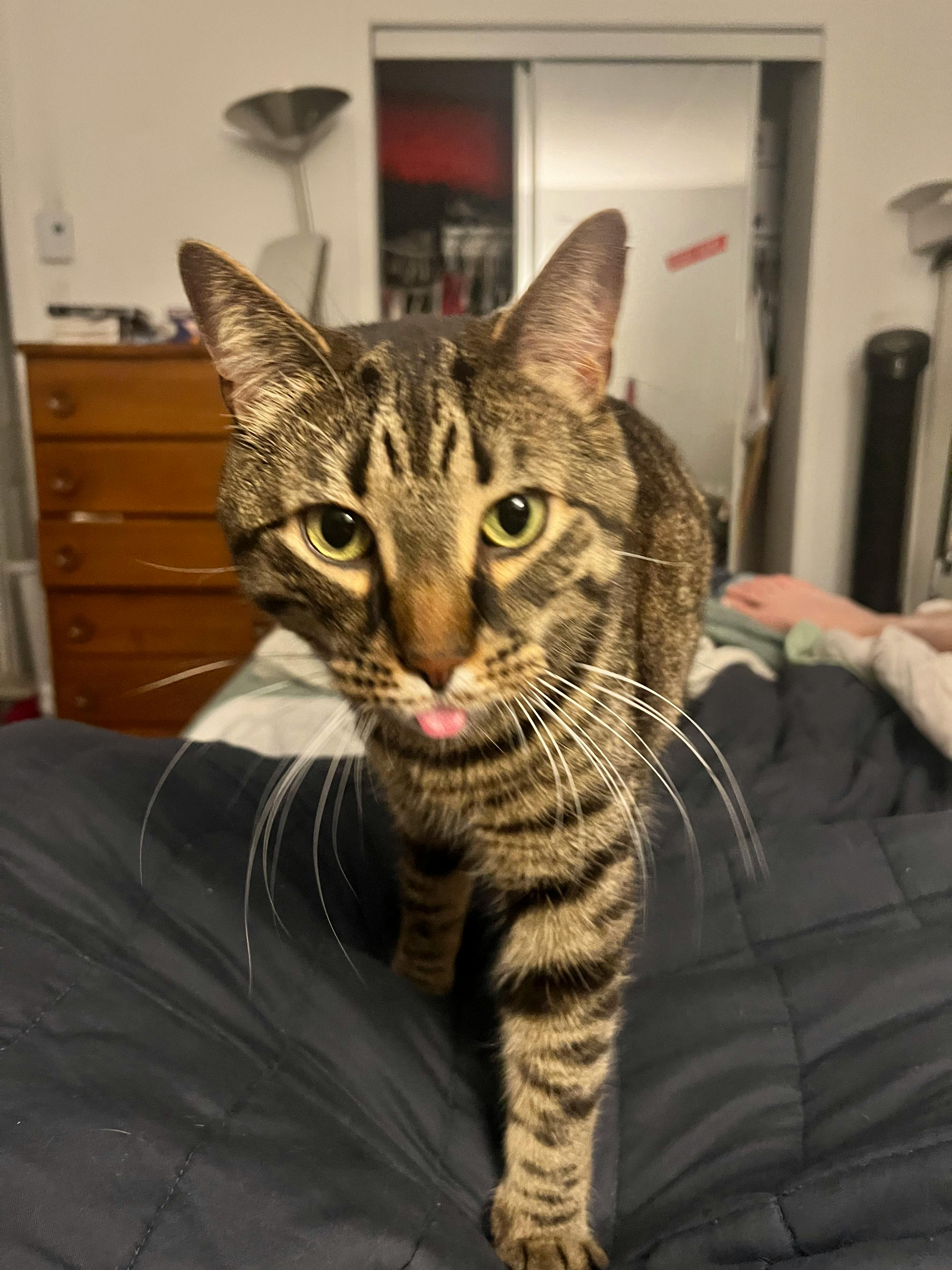 user avatar image for Martsie