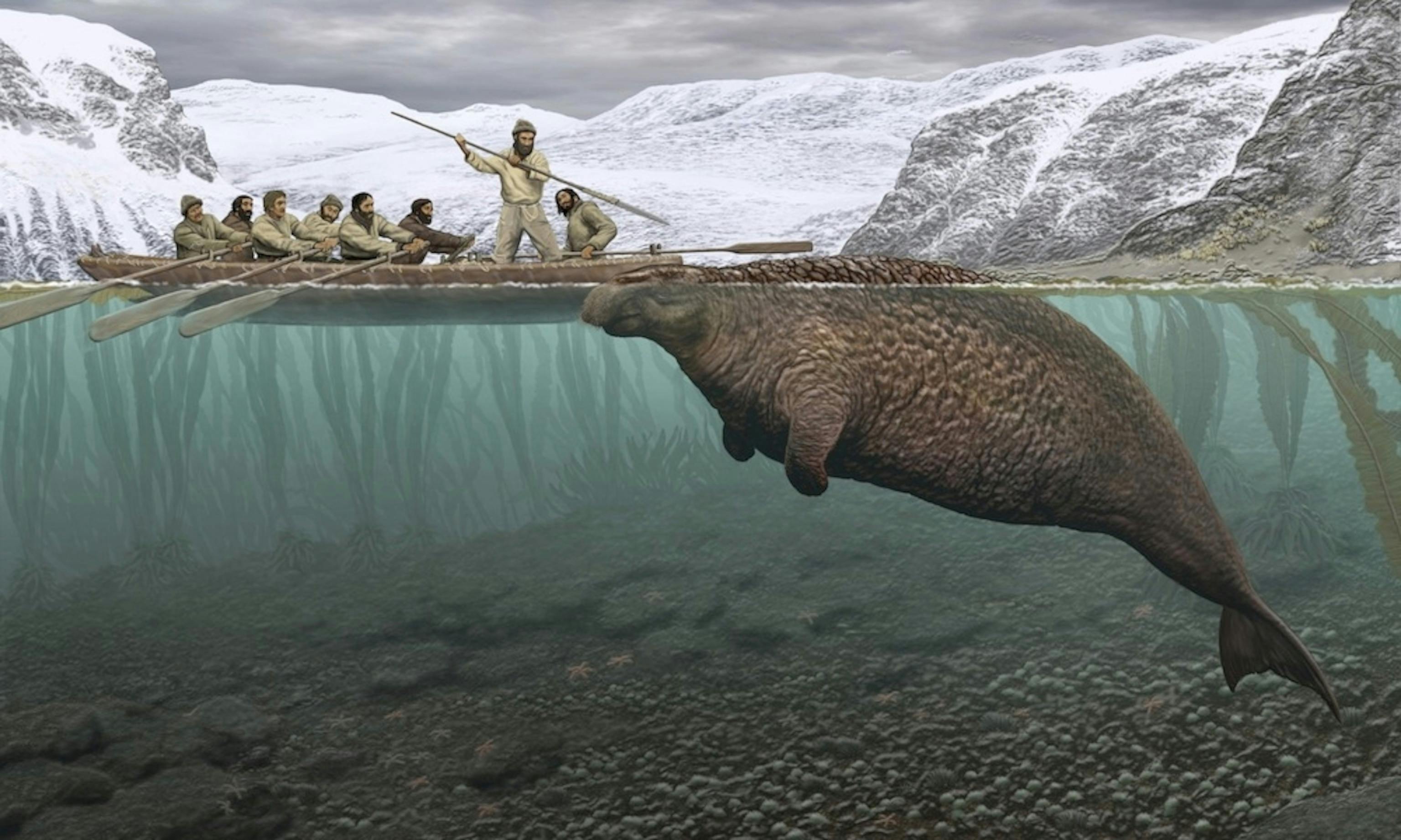 Stellar's Sea Cow