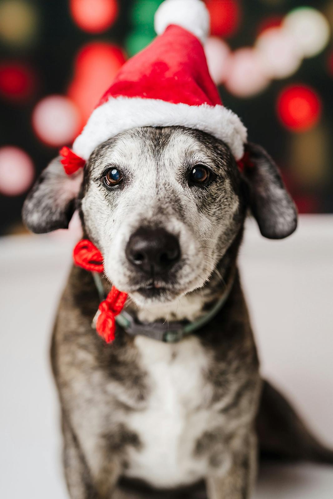 user avatar image for Tyler Kraha