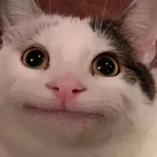 user avatar image for APurpleHippo