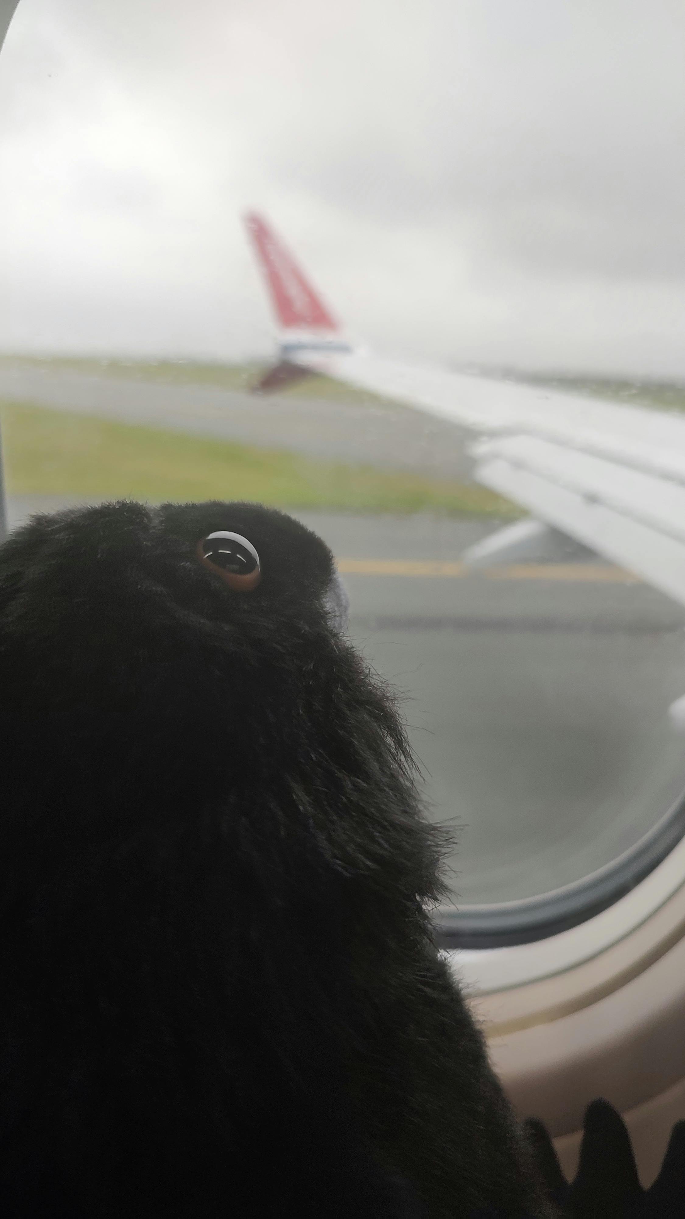 user avatar image for Ace_notanattorney