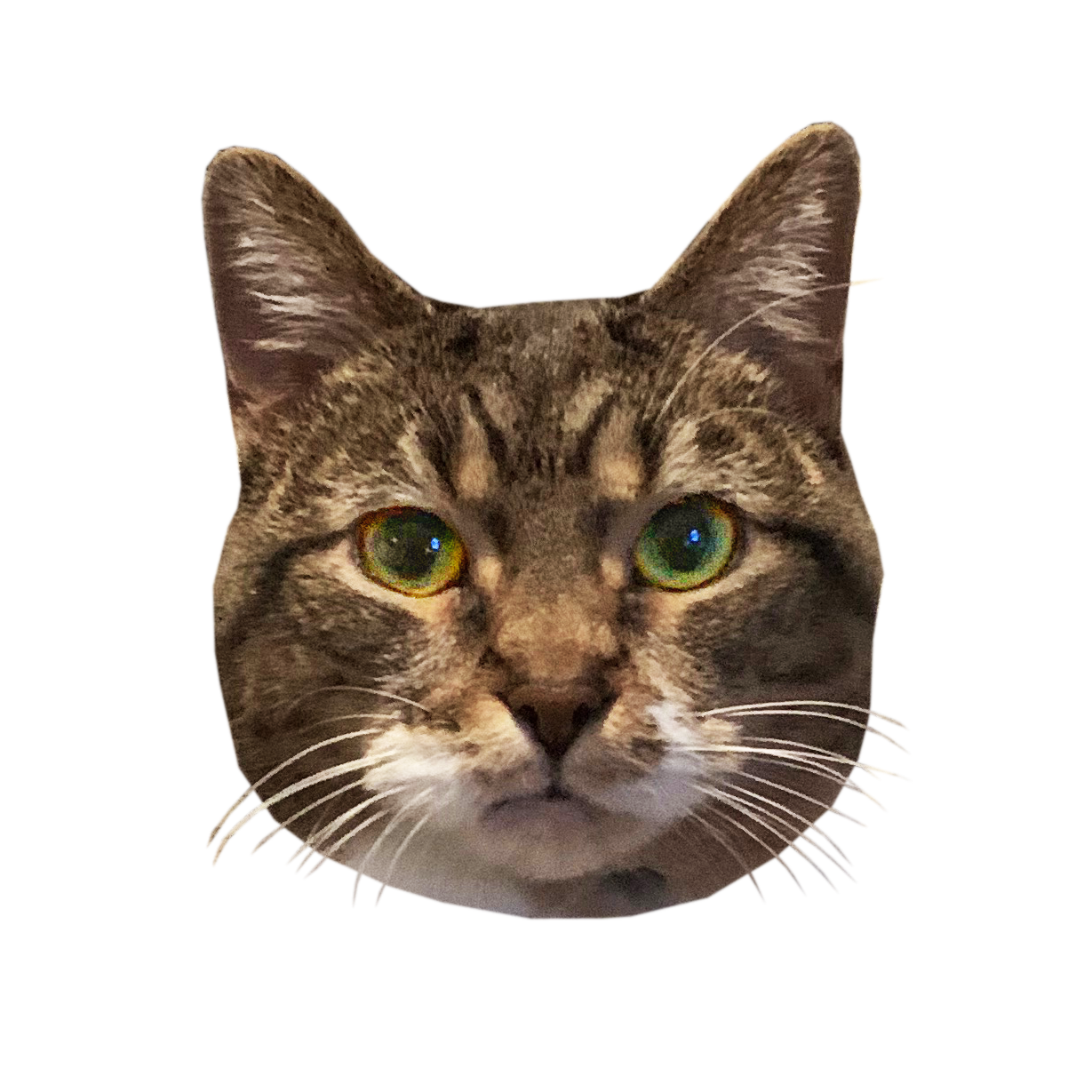 user avatar image for CTRLes