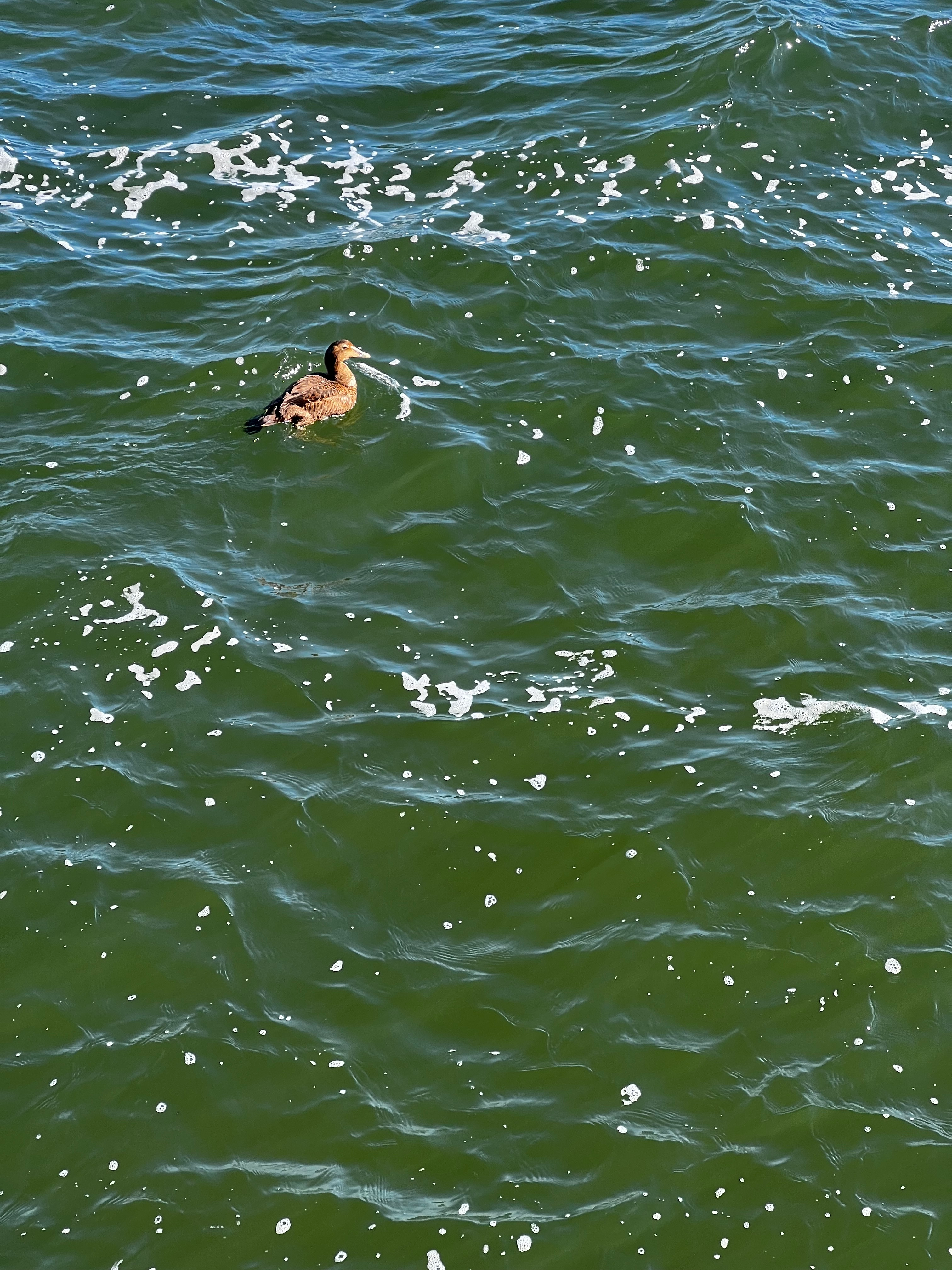 user avatar image for Andrew