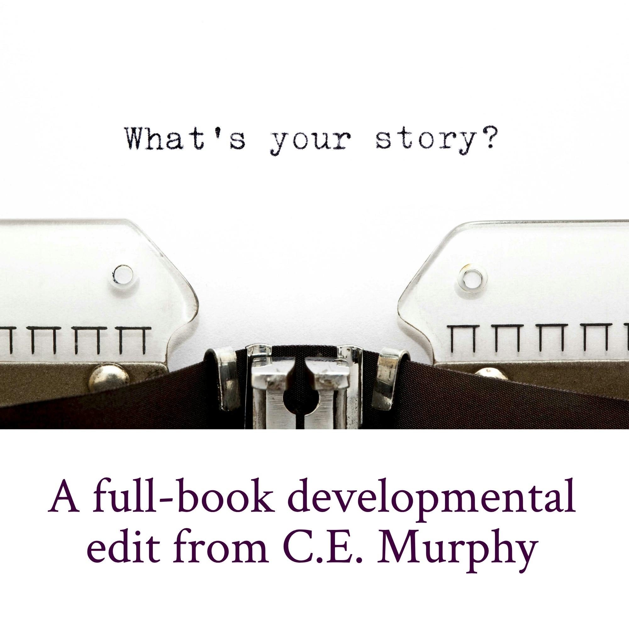 Developmental Editing Package