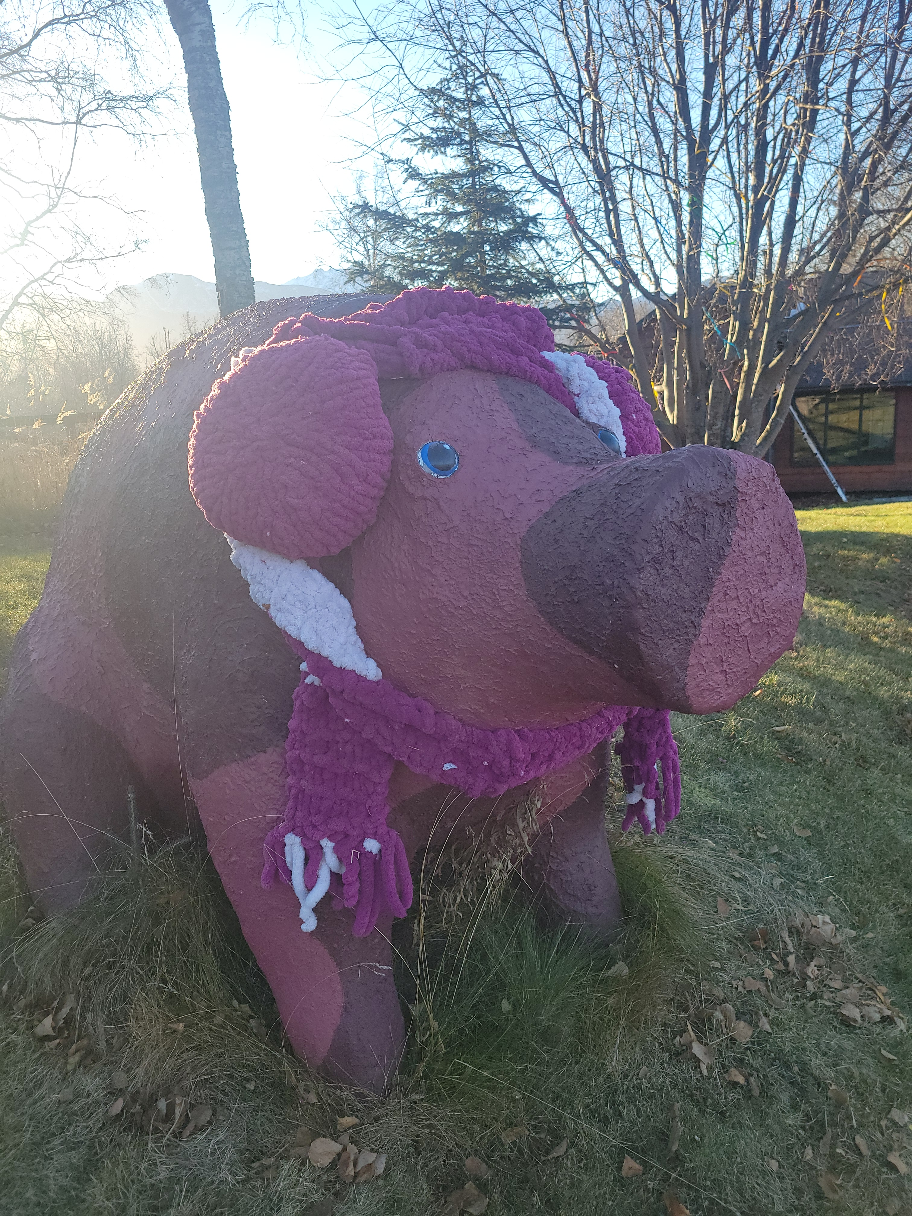 user avatar image for Becky