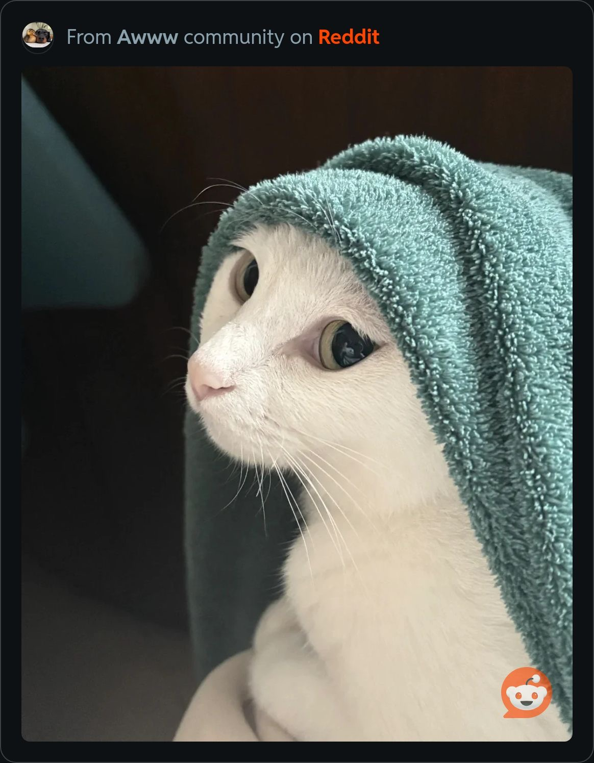 user avatar image for Bawb