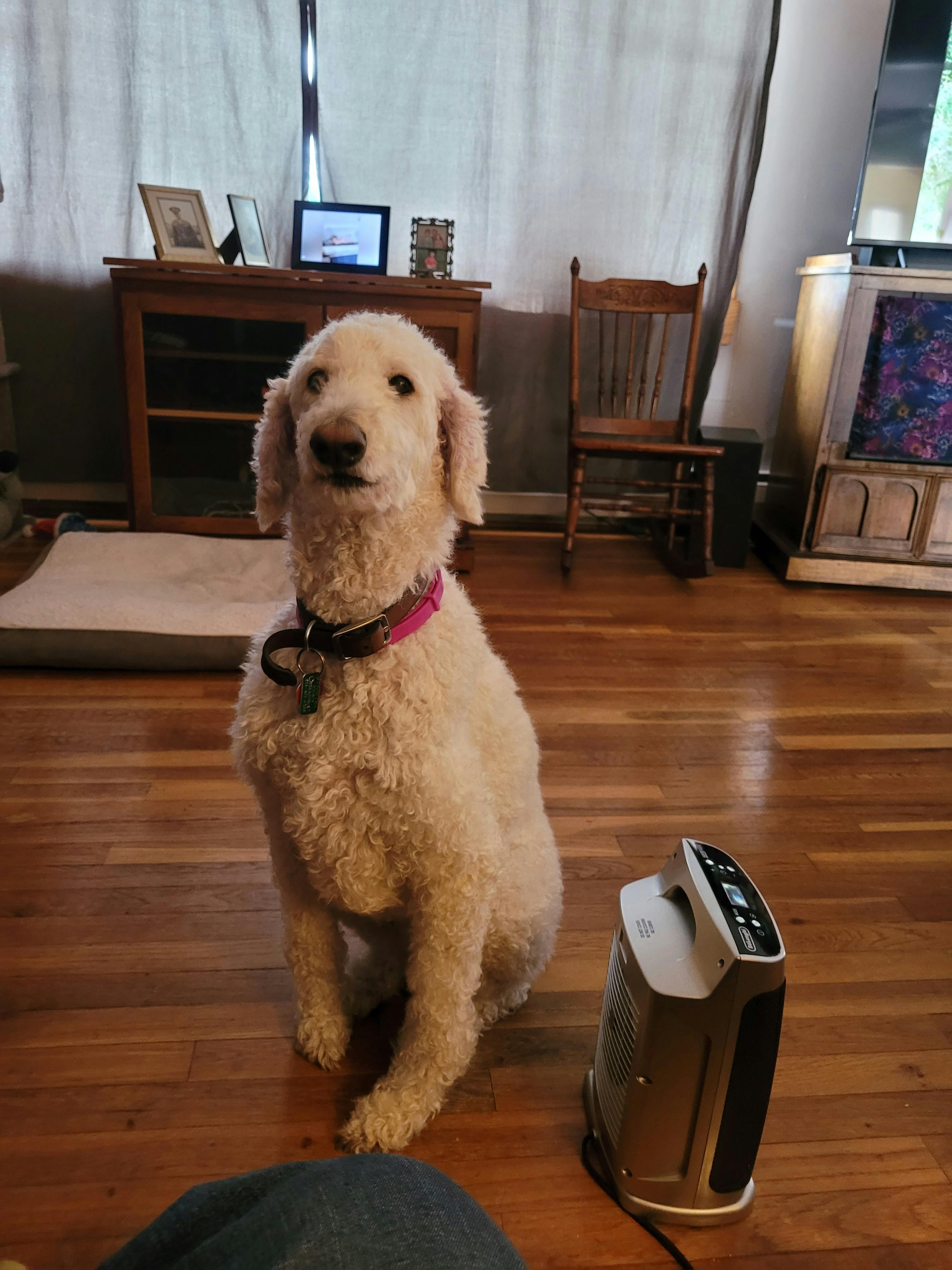 user avatar image for C. Kettering