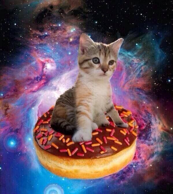 user avatar image for Moises Gomez