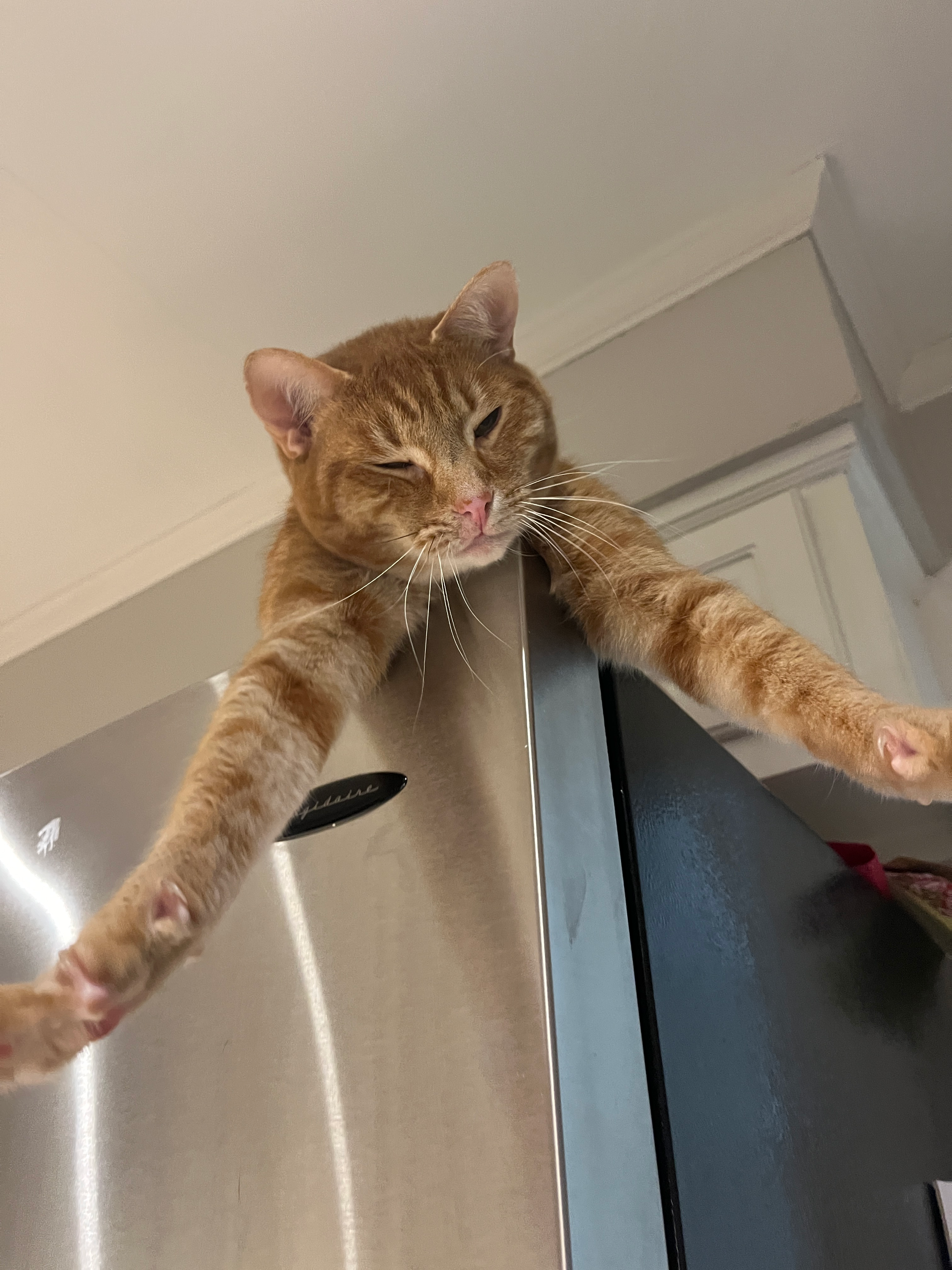 user avatar image for Mxplusb