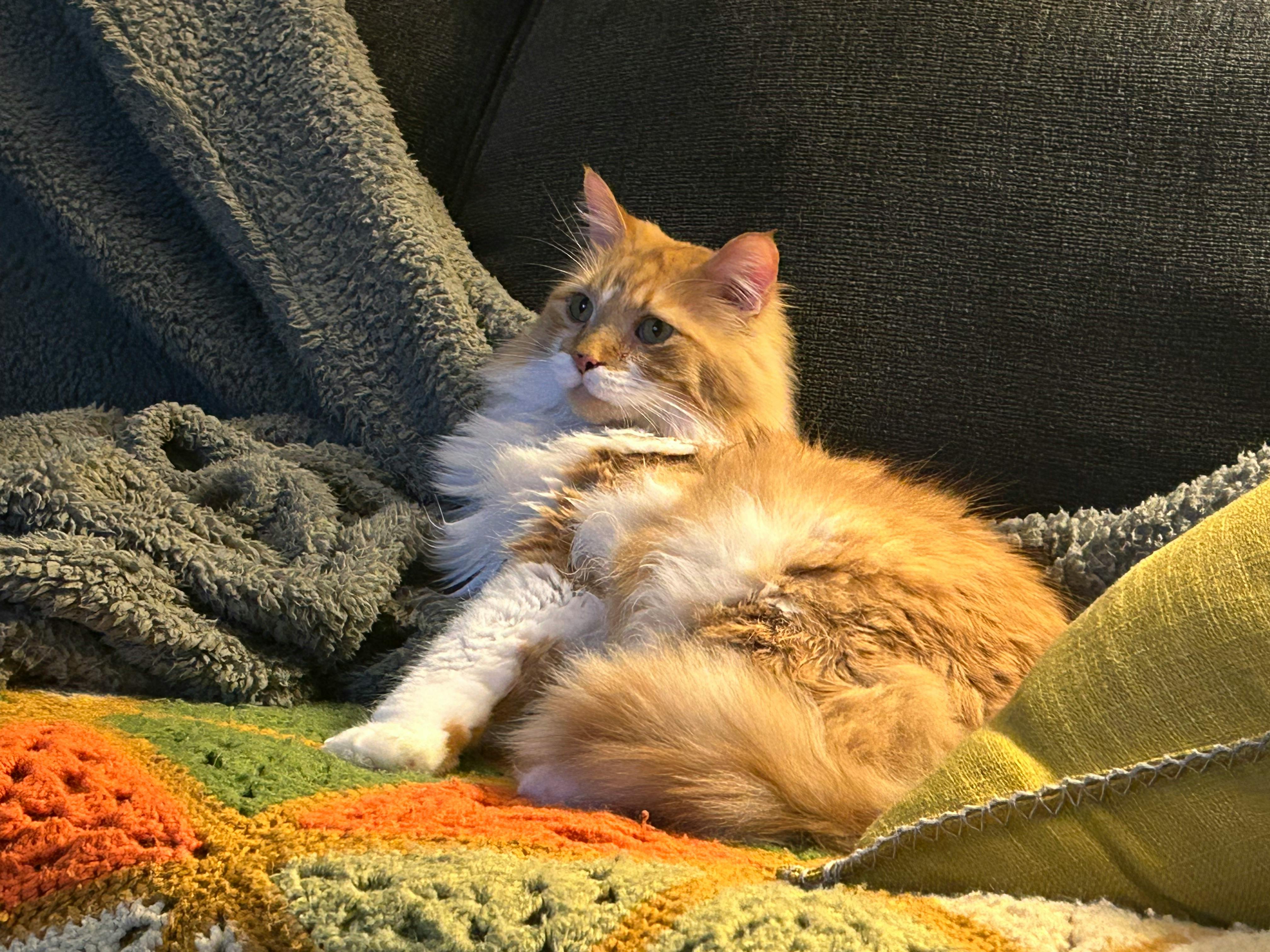 user avatar image for Currentseer89 