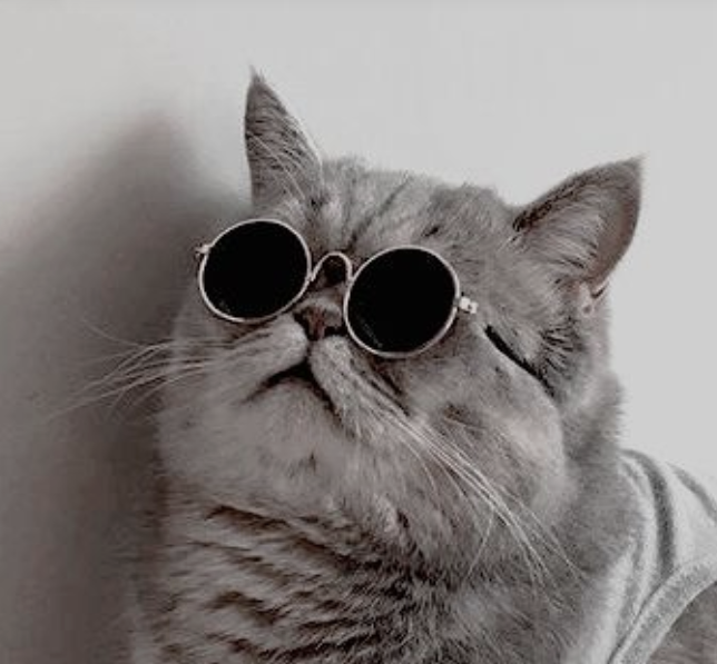 user avatar image for Jessica Orr 