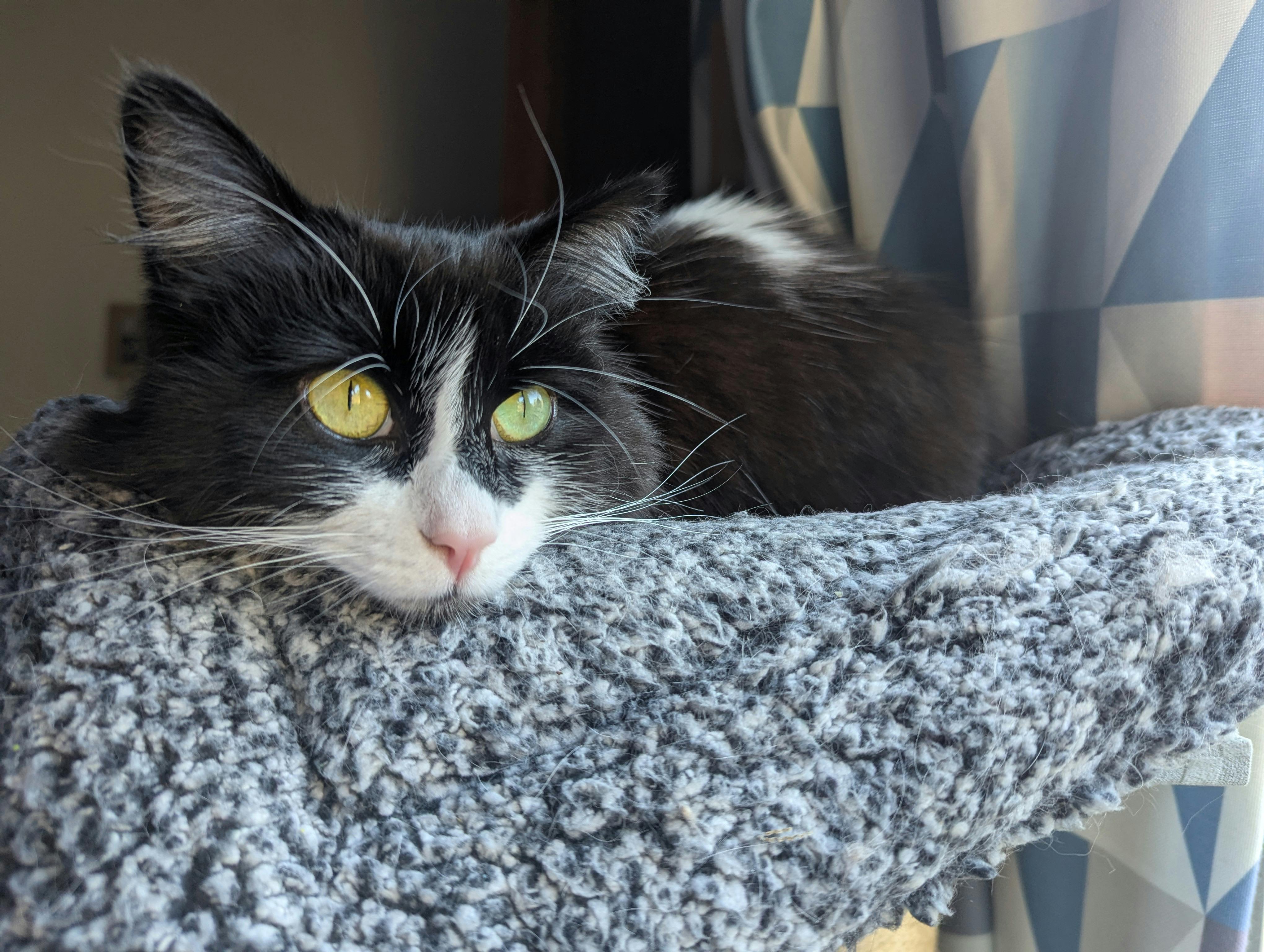 user avatar image for Claire B