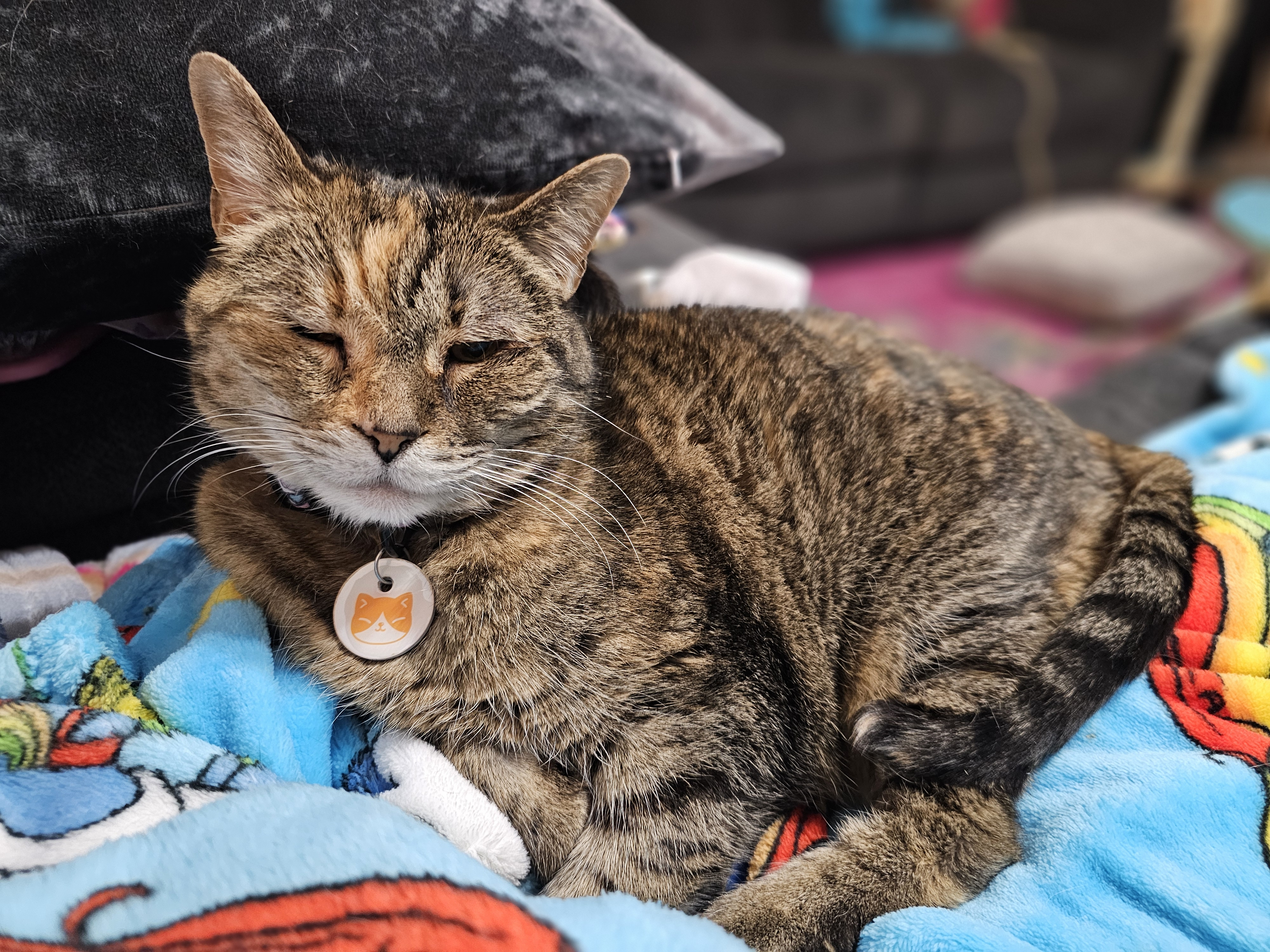 user avatar image for Kristina