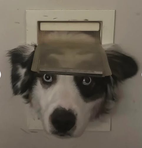 user avatar image for That Guy