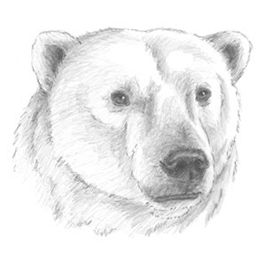 user avatar image for AceBlasto