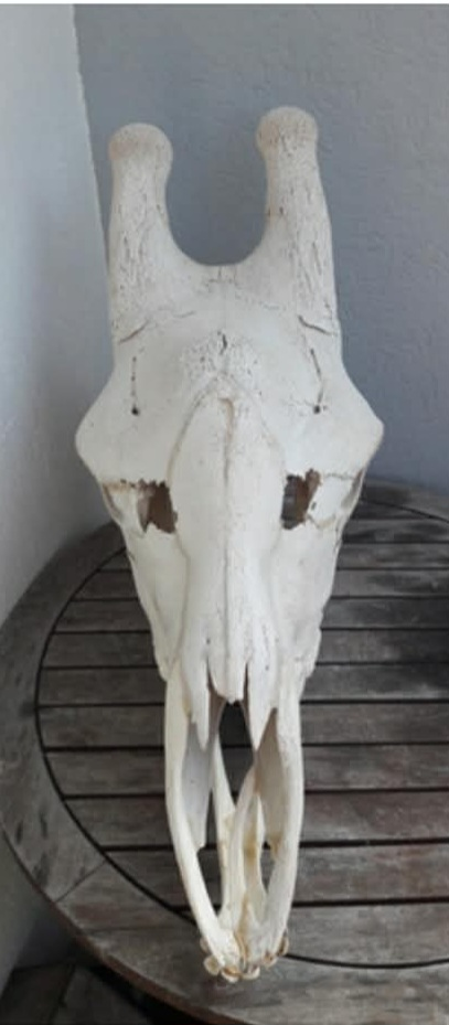 user avatar image for DavidZ