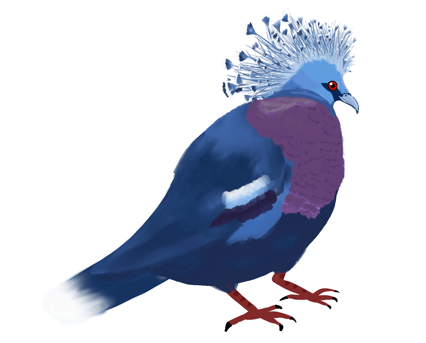 Victorian Crowned Pigeon (Australian at heart)