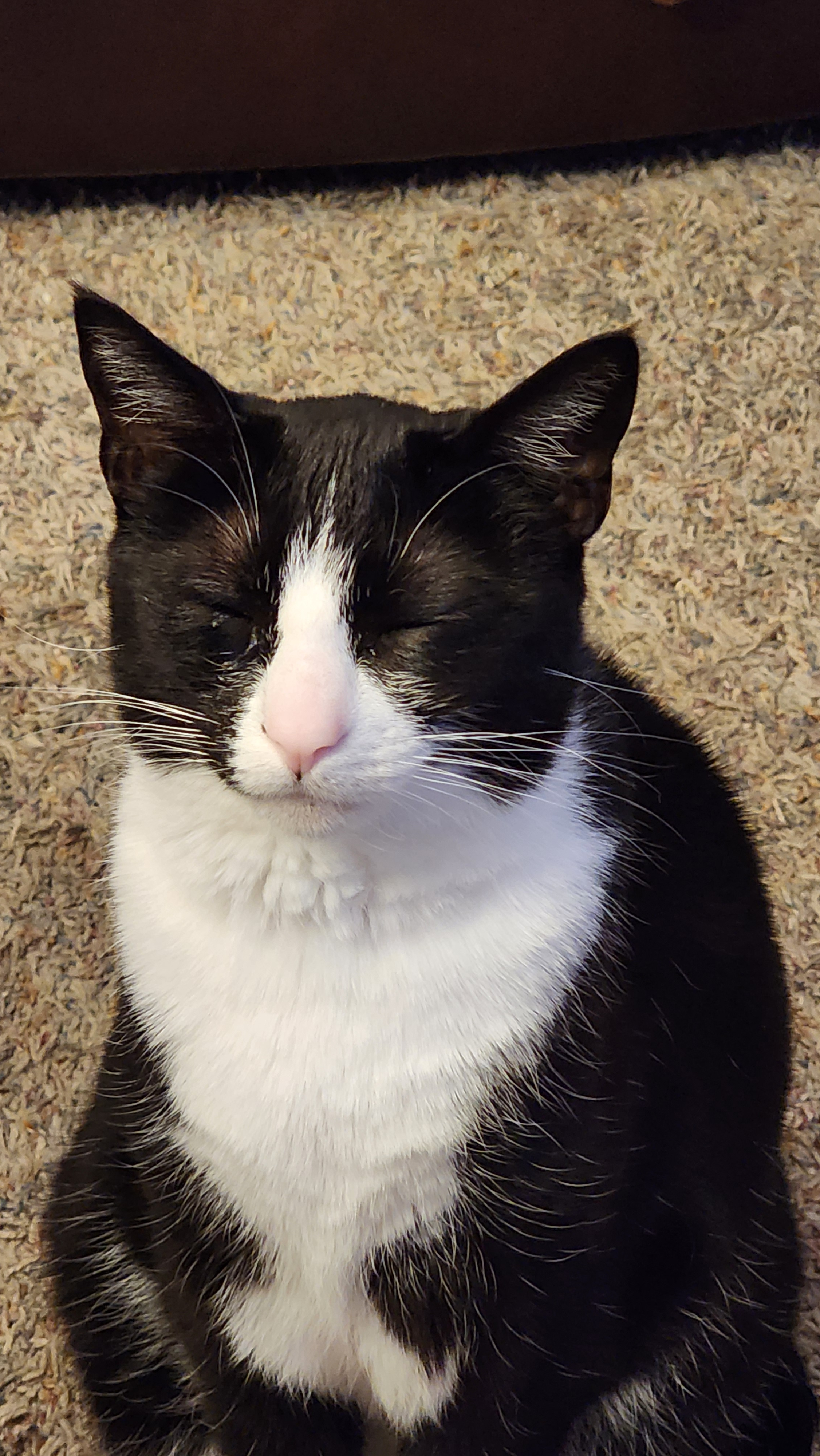 user avatar image for Becks