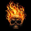 user avatar image for Xanvier