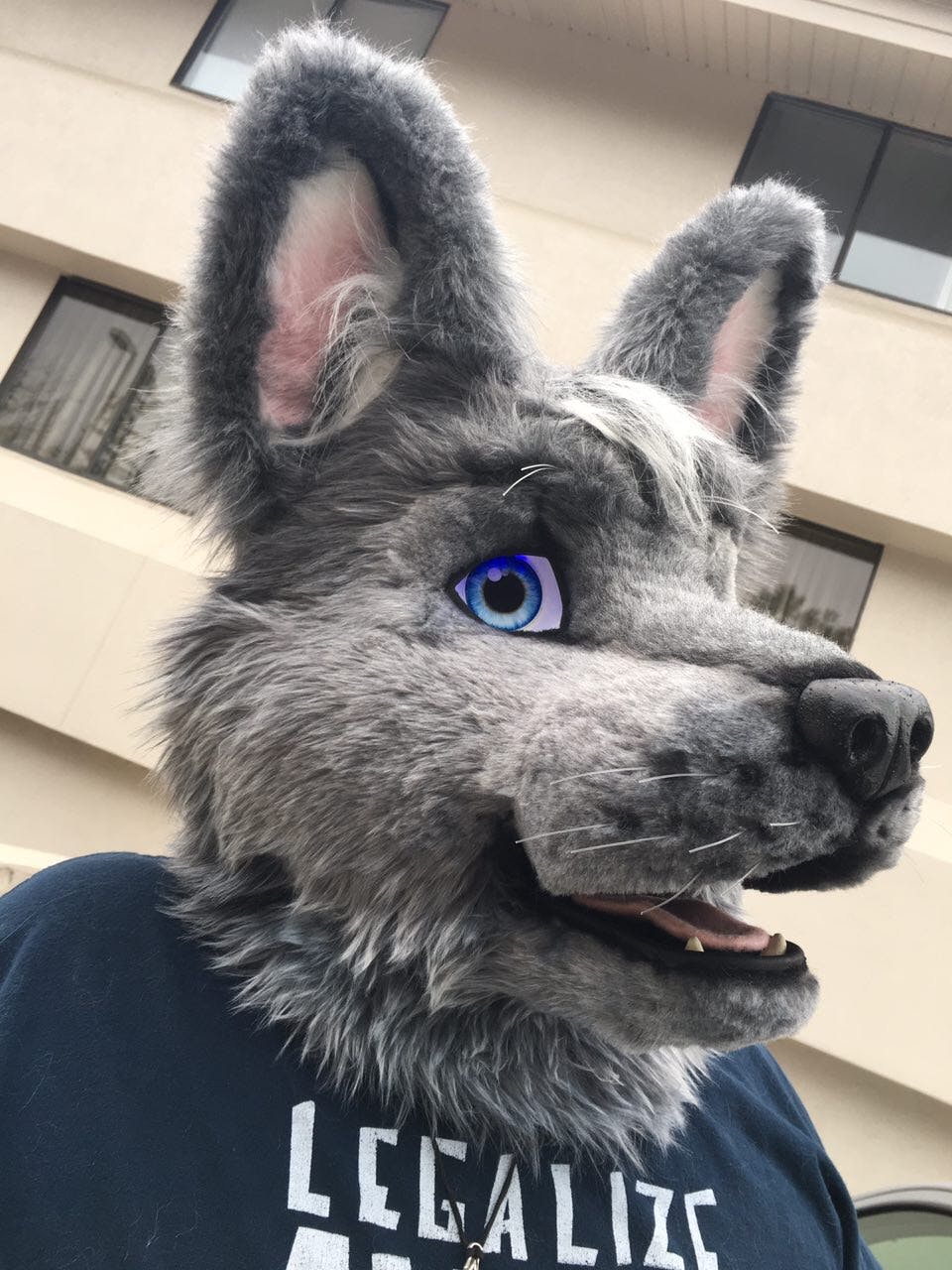 user avatar image for Wolfe Masters