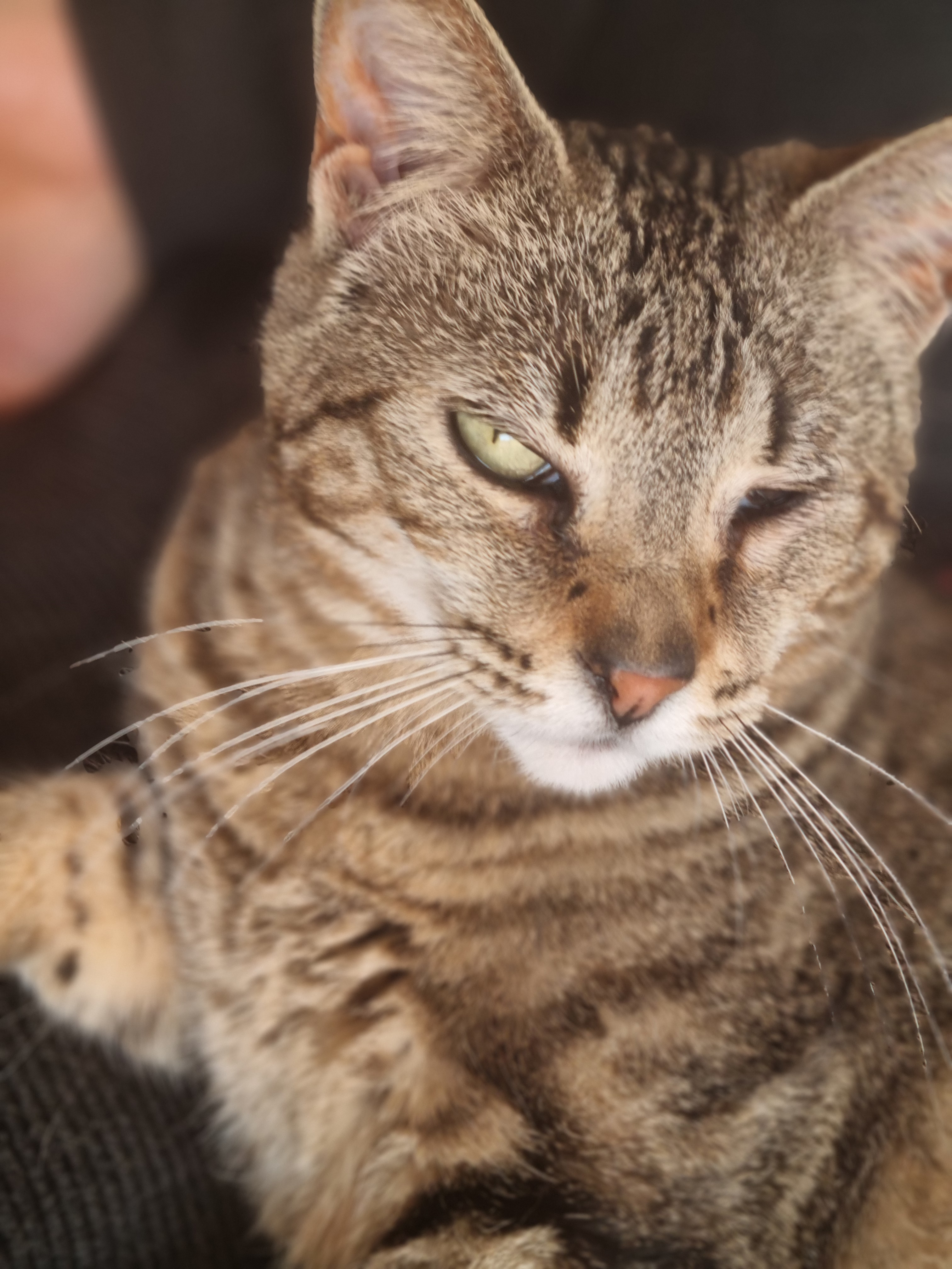 user avatar image for Jordi