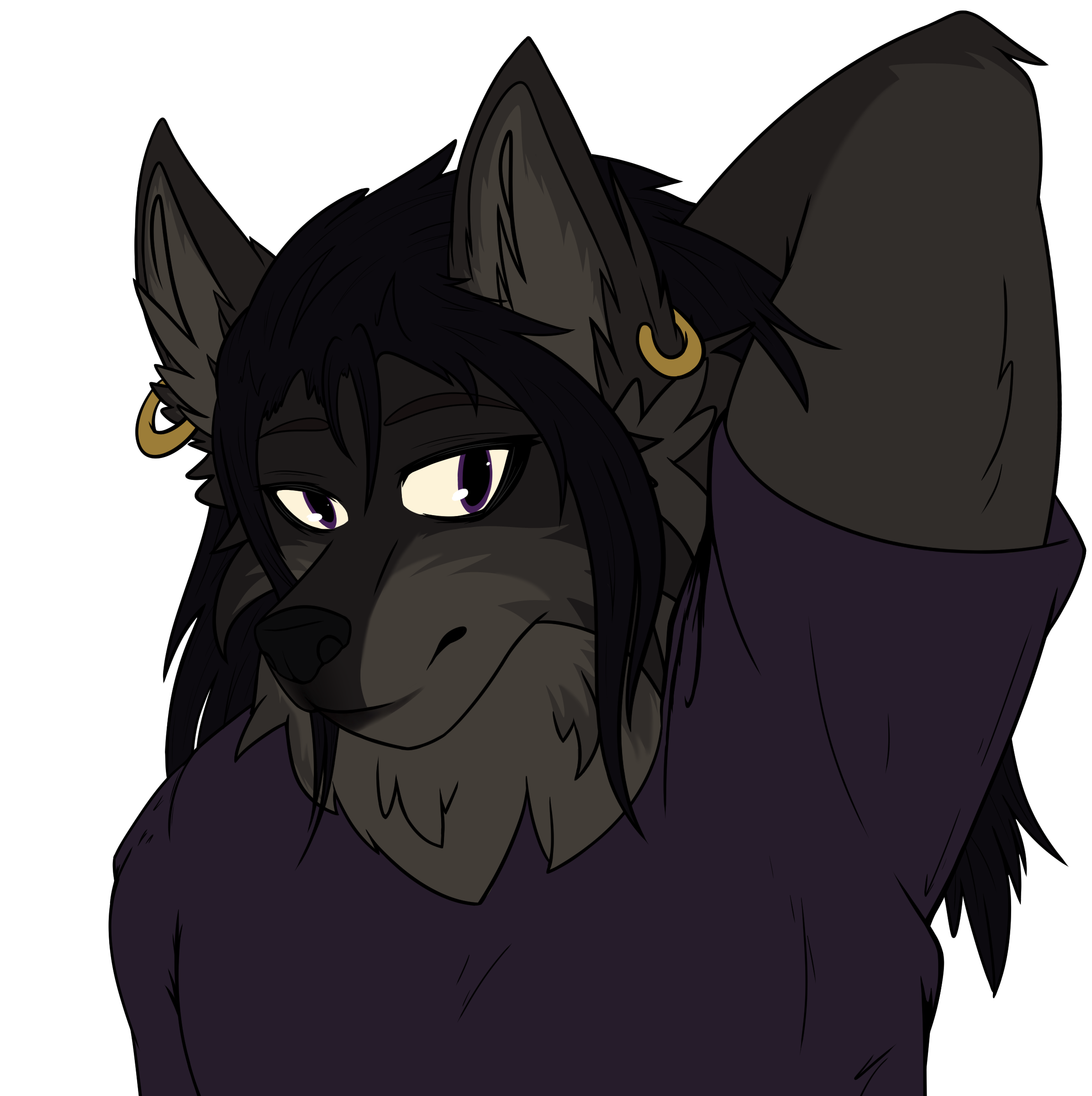 user avatar image for DarkWolf