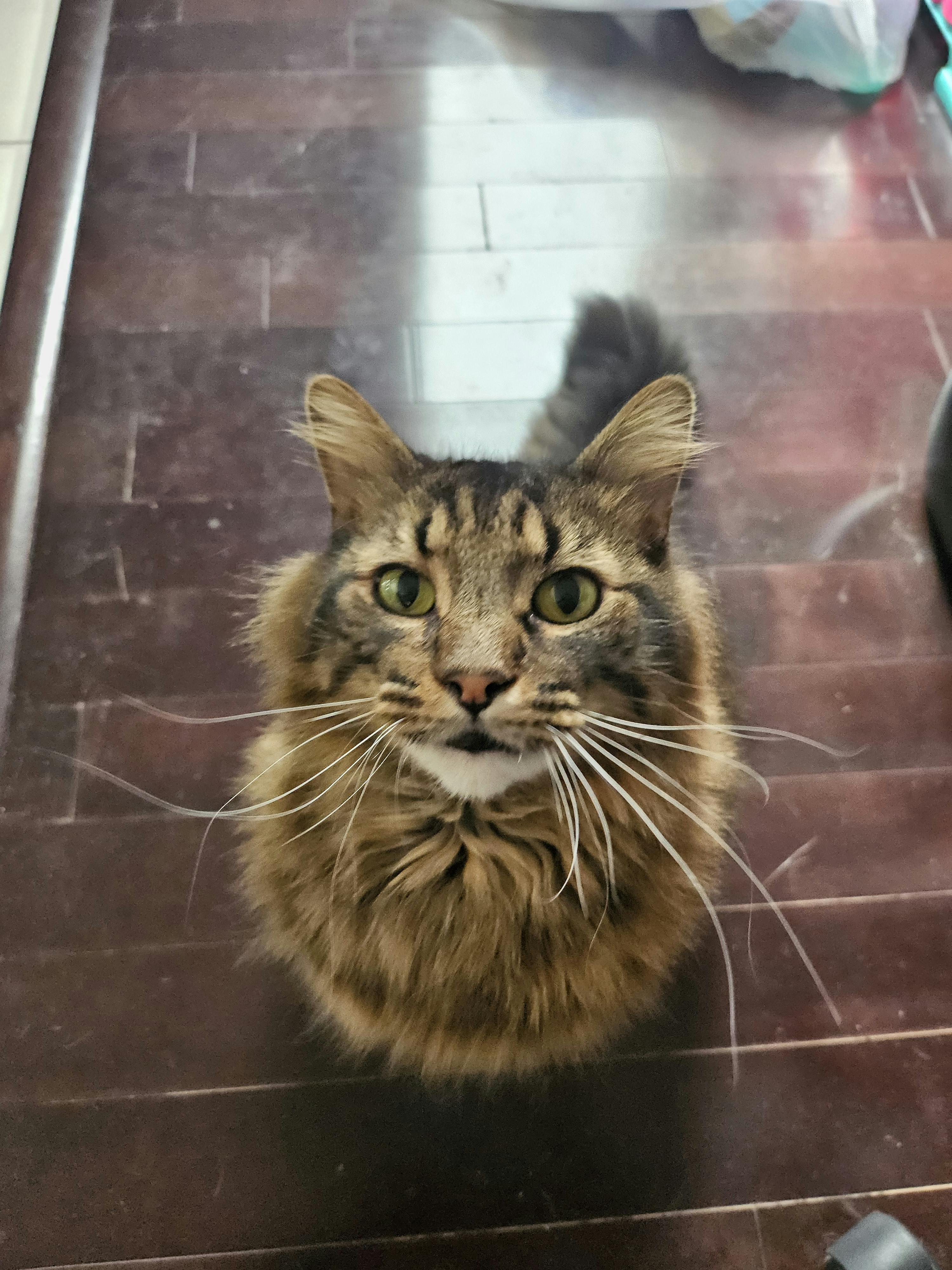 user avatar image for Kel