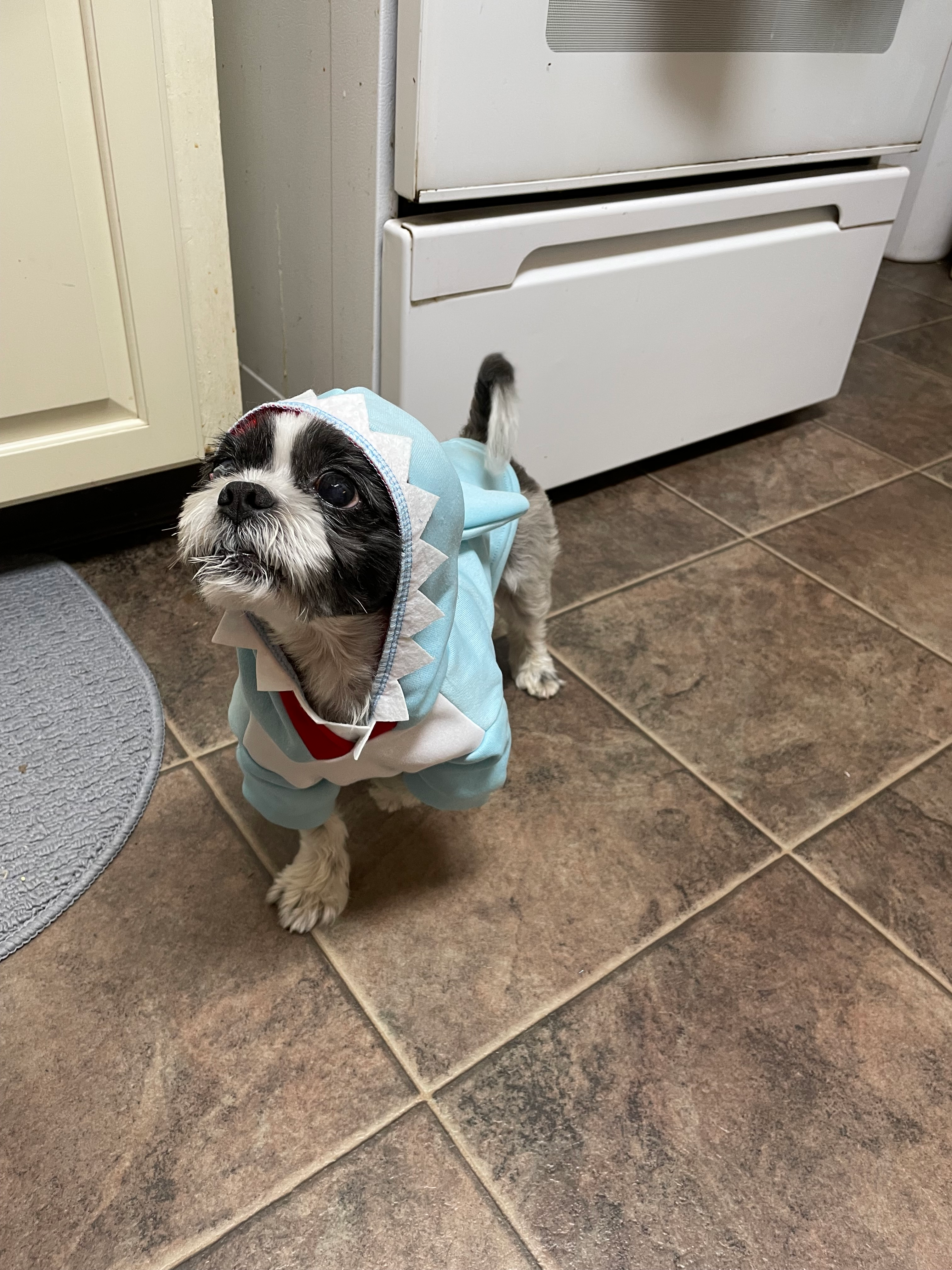 user avatar image for David Dewey