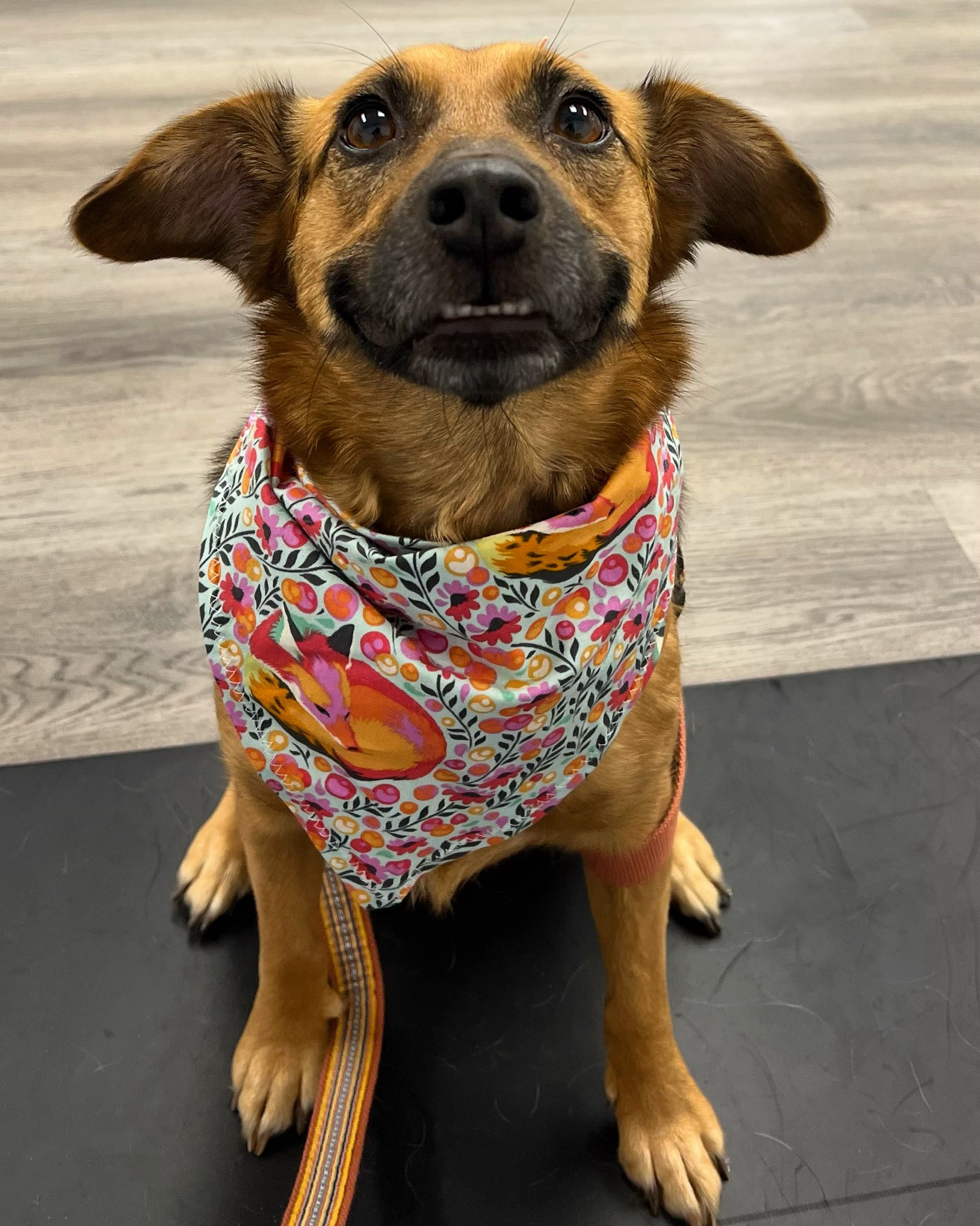 user avatar image for Matt Kist