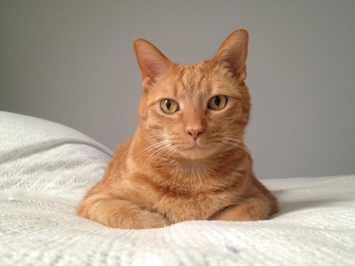 user avatar image for Charles