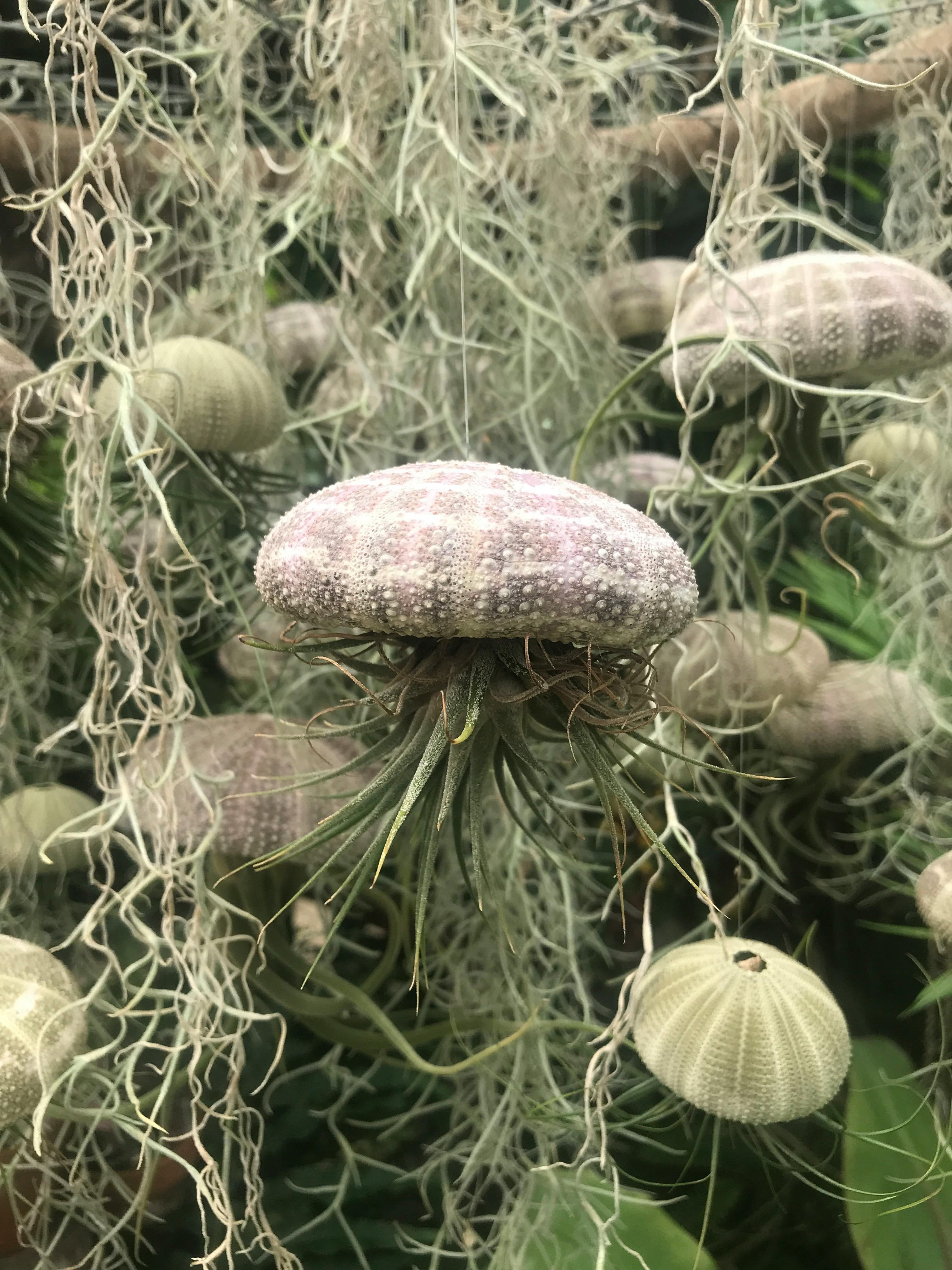 user avatar image for NathanG