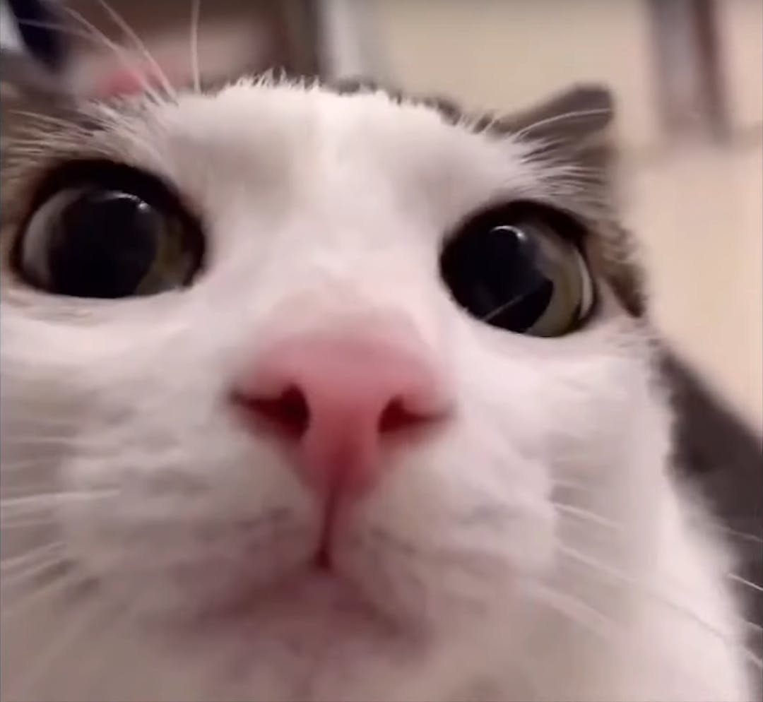 user avatar image for Yupiii