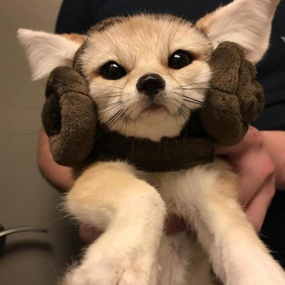 user avatar image for Ambezeee