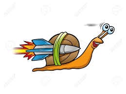 user avatar image for Bash