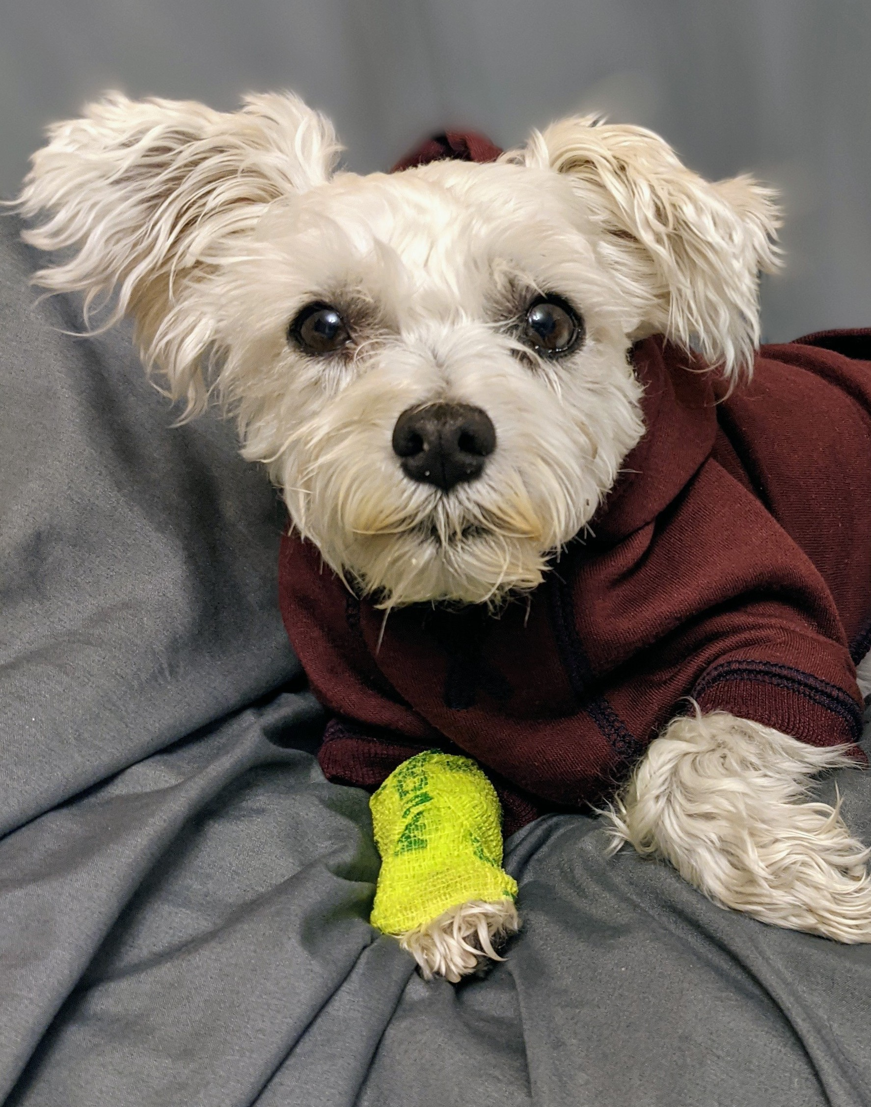 user avatar image for MCB