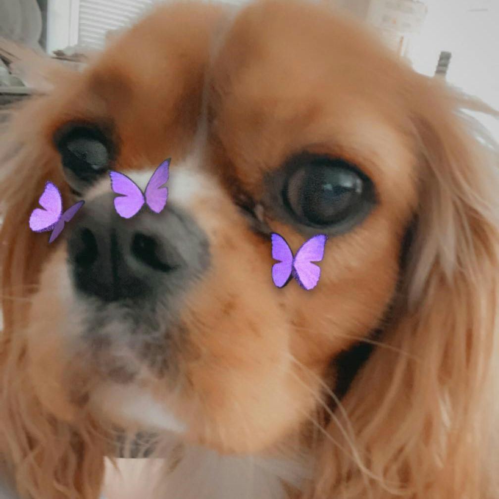 user avatar image for Eily