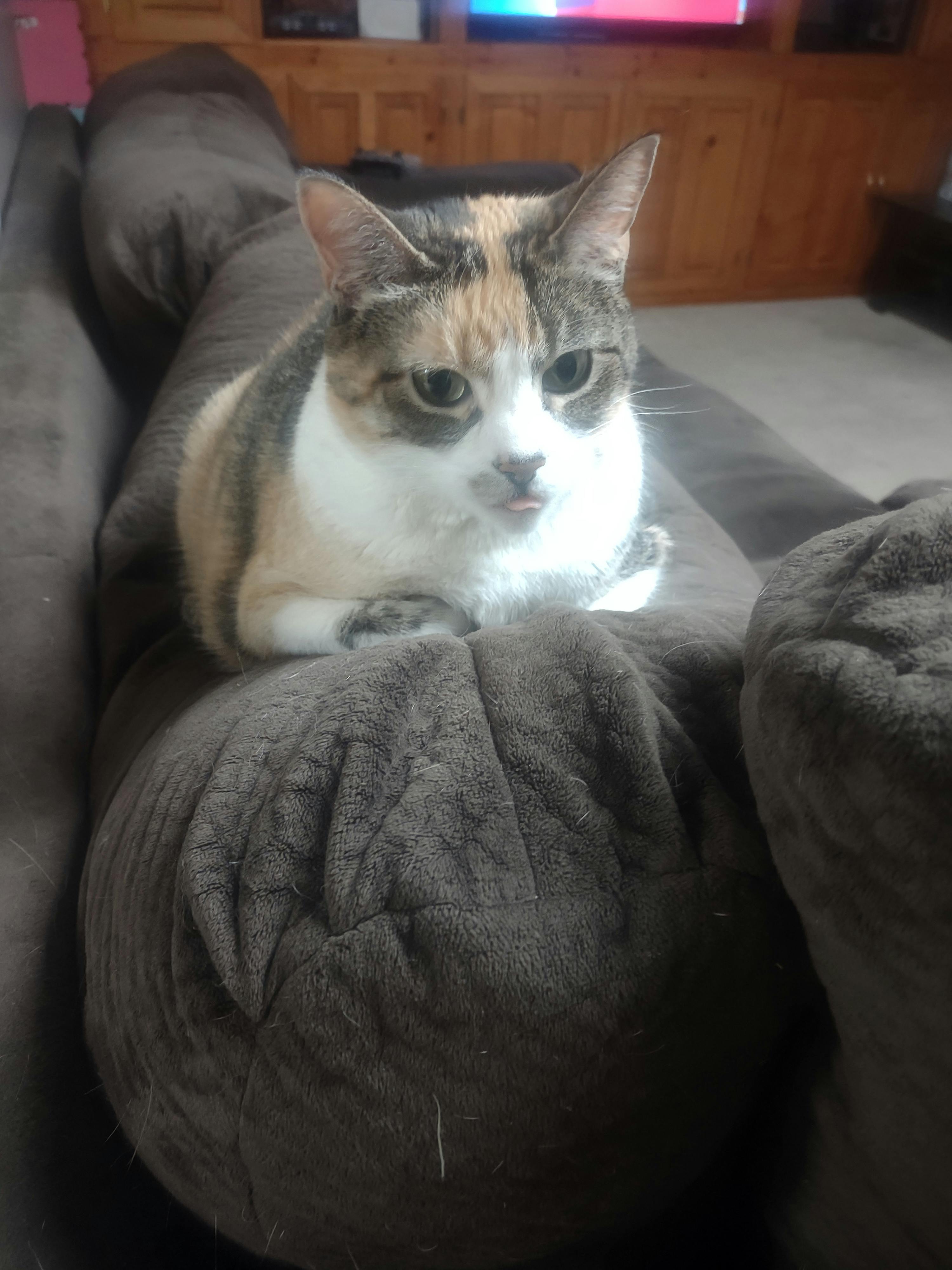 user avatar image for Kerra