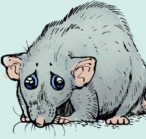 user avatar image for A. Denbigh Strickland