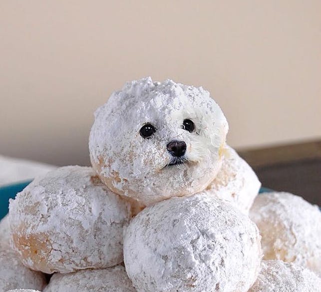 user avatar image for Kynetic