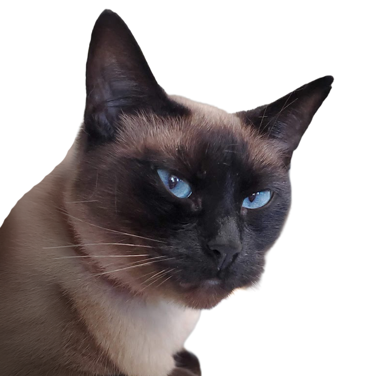 user avatar image for Jerry Justice